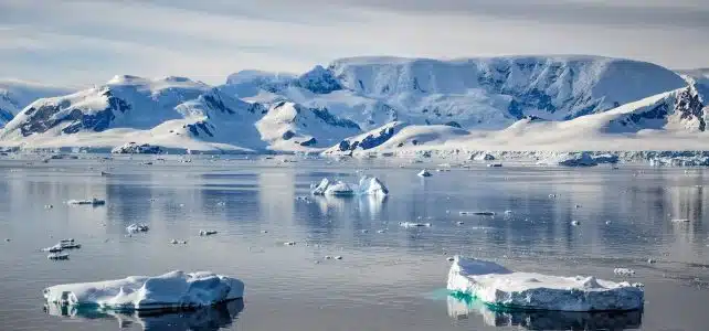 Comment se déroule une croisiere en antarctique ?